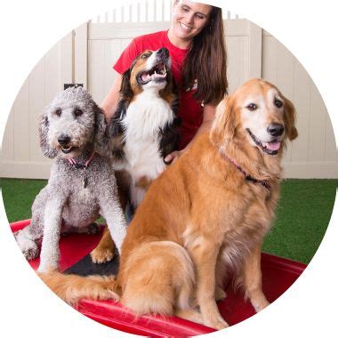 doggy day care south jordan  YEARS IN BUSINESS (801) 856-0172